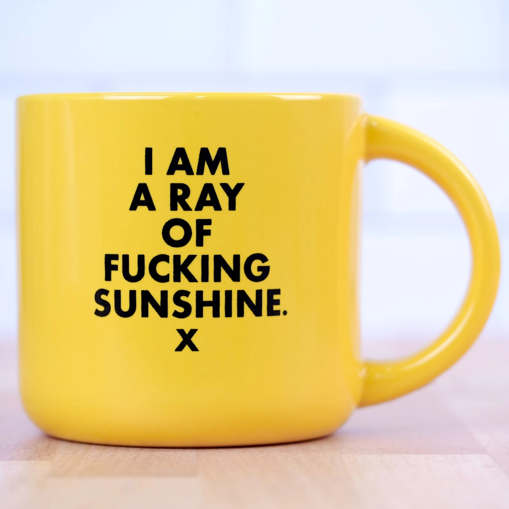 I Am a Ray of Fucking Sunshine Mug