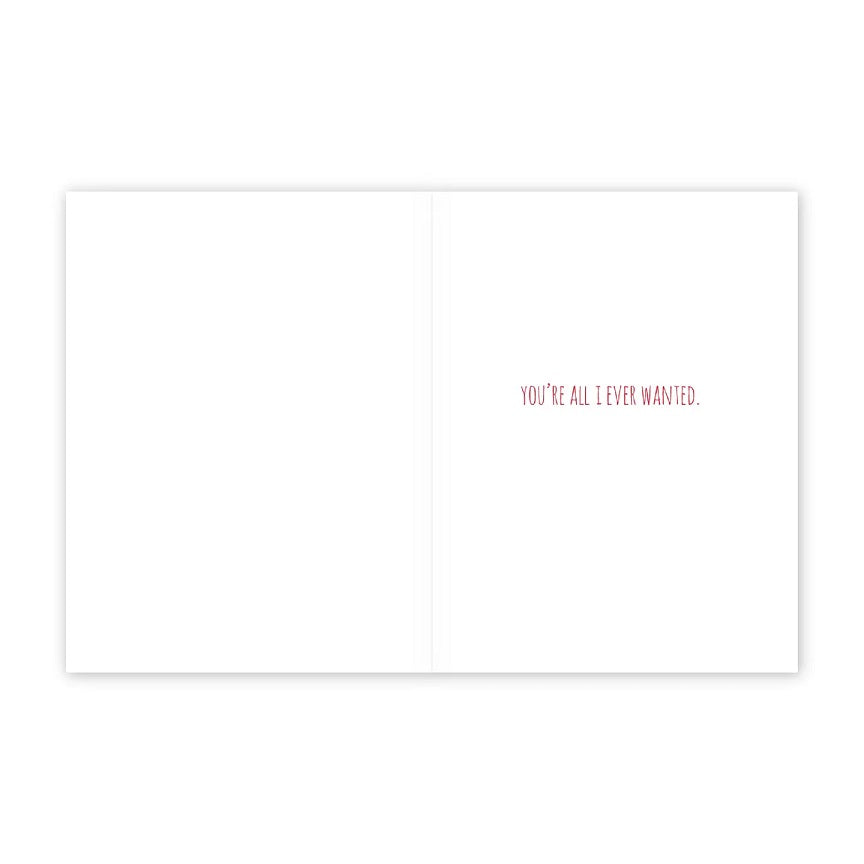 All I Ever Wanted Seagull Valentine's Day Card