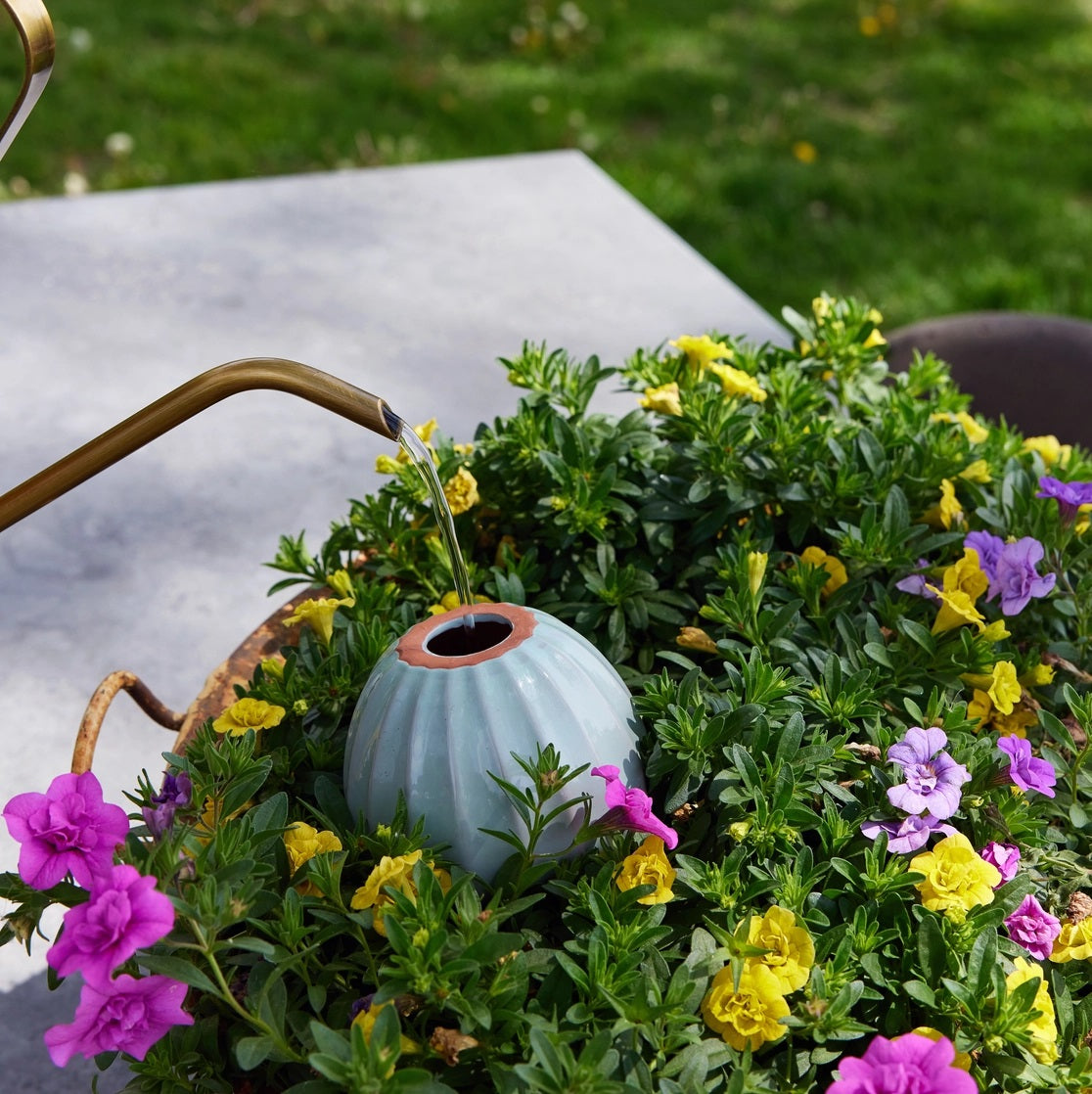 Modern Sprout's Terracotta Watering Bulb in Sage
