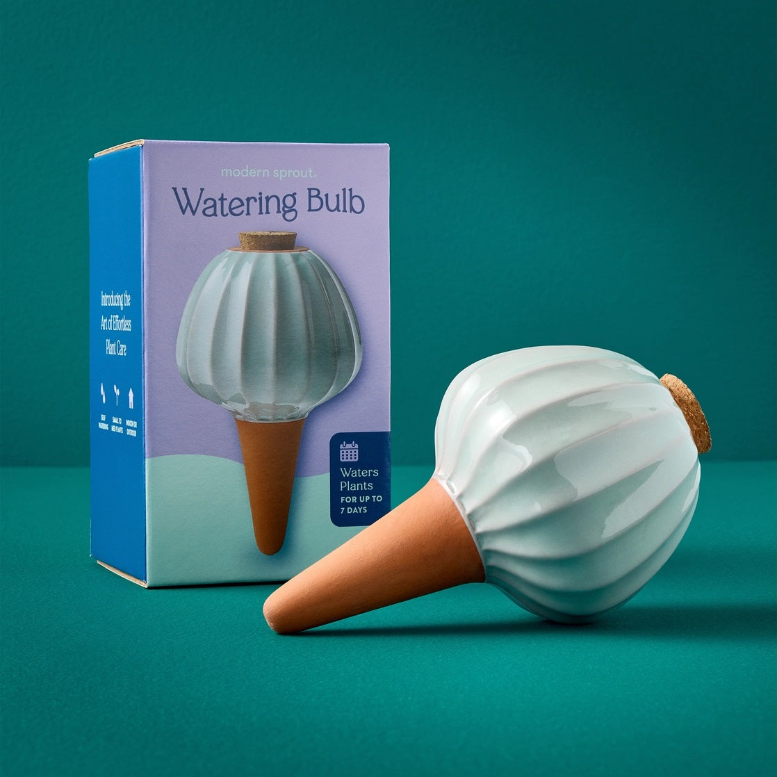 Modern Sprout's Terracotta Watering Bulb in Sage