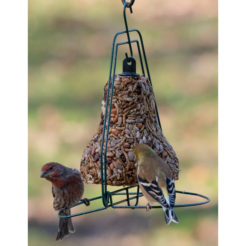 Mr. Bird's Bugs, Nuts &amp; Fruit Bird Seed Bell