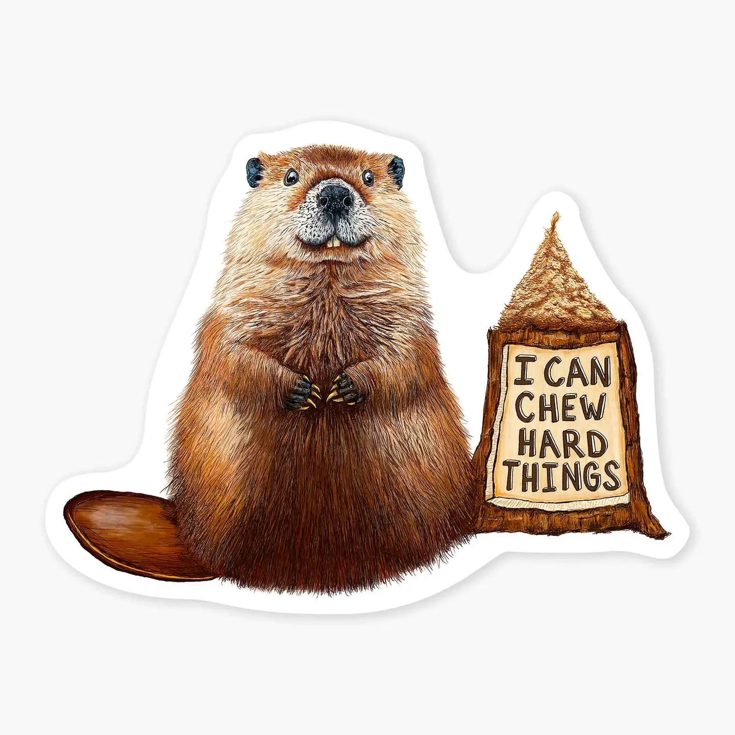Beaver Sticker