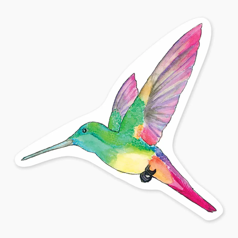 Hummingbird Sticker