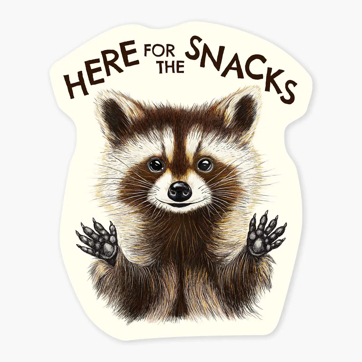 Raccoon Snacks Sticker