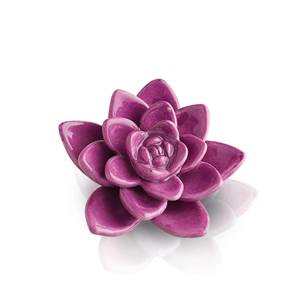 Nora Fleming Mini Get Growing Succulent