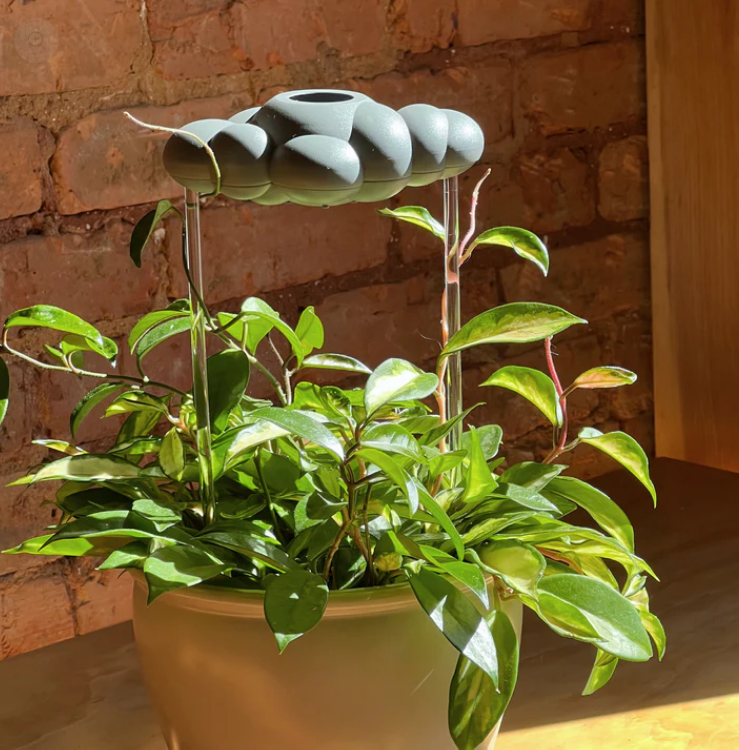 Original Dripping Rain Cloud Stormy