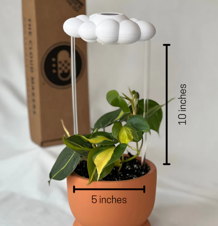 Original Dripping Rain Cloud