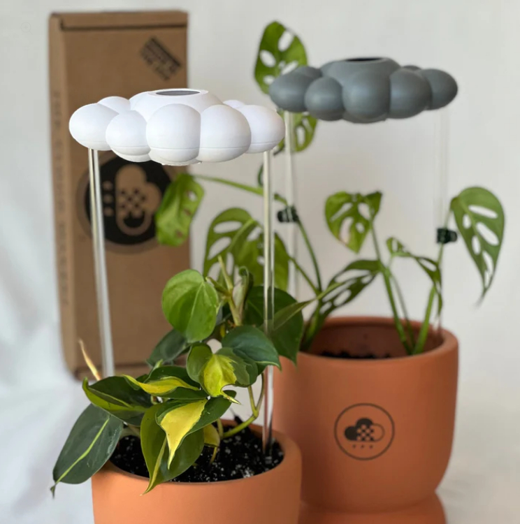 Original Dripping Rain Cloud