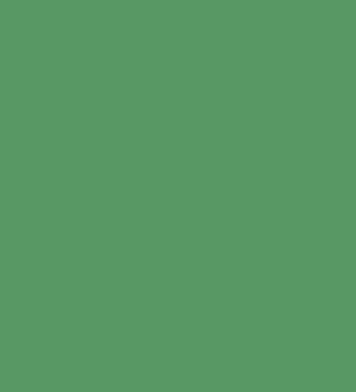 Ozai N Ku's 3/4 Sleeve Shirt Lime Swatch