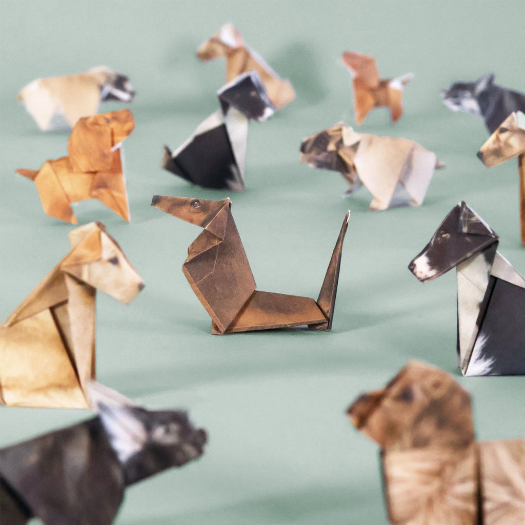 Pikkii Paper Pups Origami Dog Craft Kit