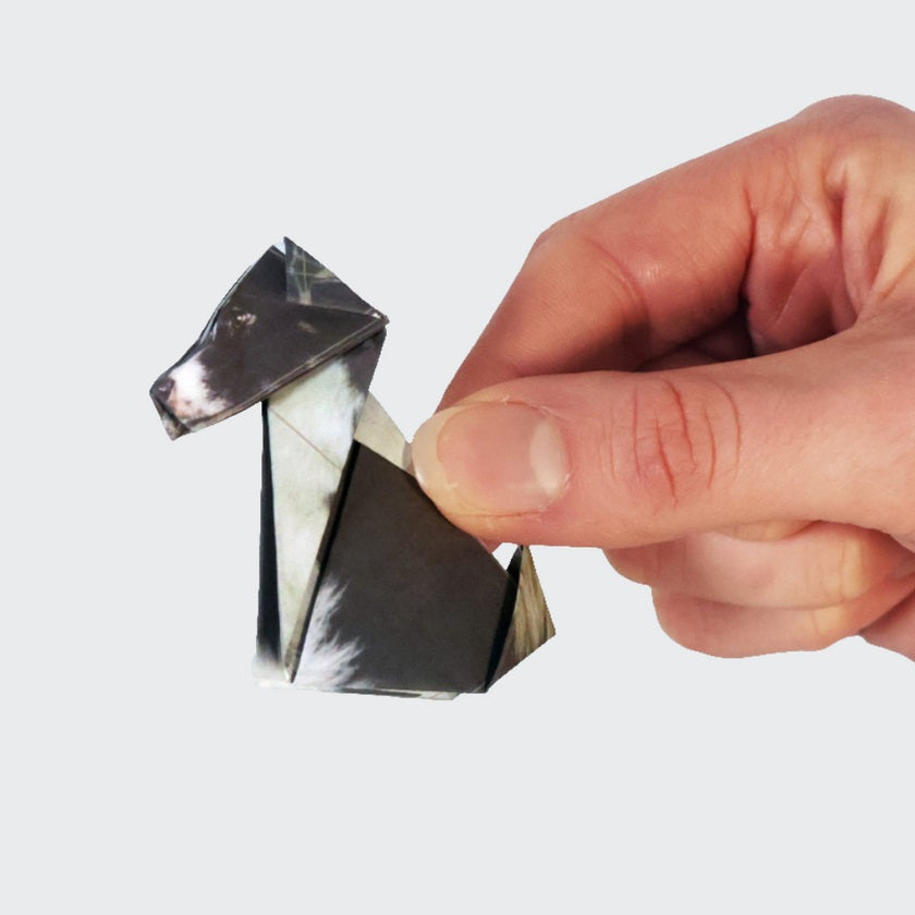 Pikkii Paper Pups Origami Dog Craft Kit