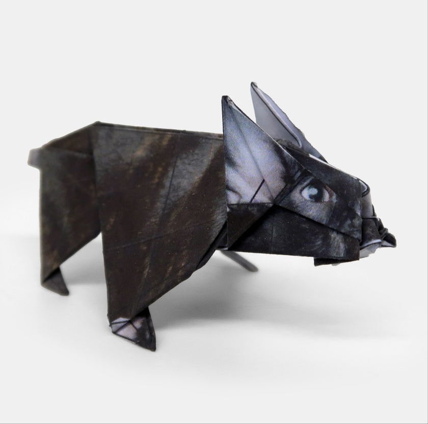 Pikkii Paper Pups Origami Dog Craft Kit
