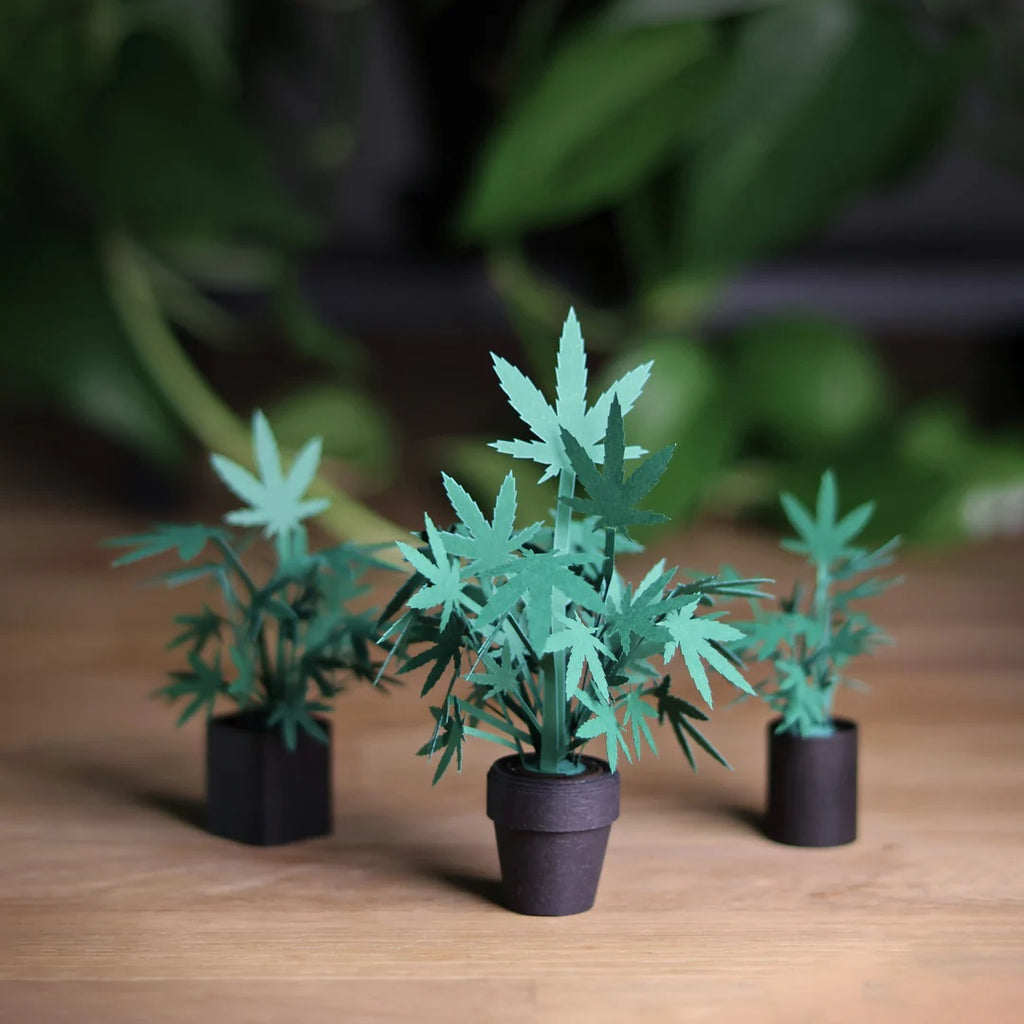 Roll Your Own Weed Plants Kit