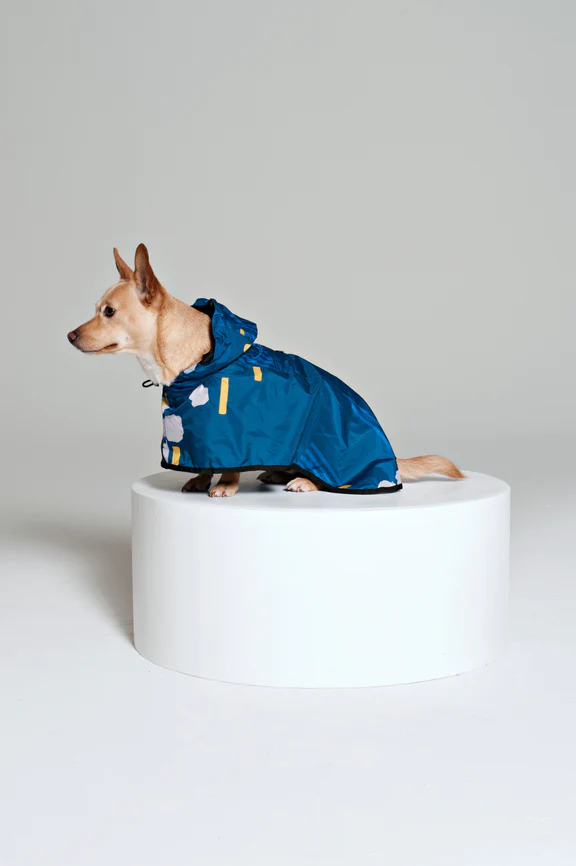Rainkiss Dog Poncho / Click for Styles