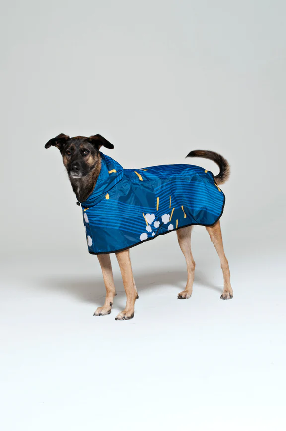 Rainkiss Dog Poncho / Click for Styles
