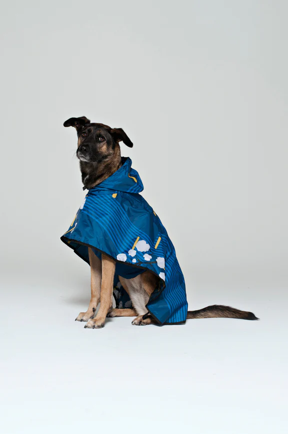 Rainkiss Dog Poncho / Click for Styles