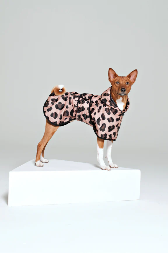 Rainkiss Dog Poncho / Click for Styles