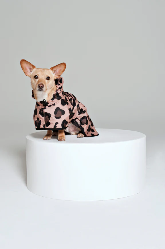 Rainkiss Dog Poncho / Click for Styles