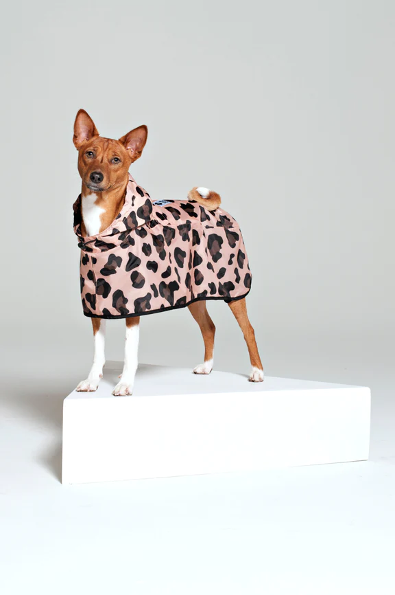 Rainkiss Dog Poncho / Click for Styles