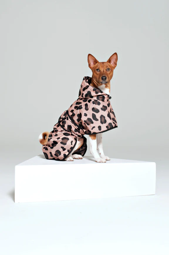 Rainkiss Dog Poncho / Click for Styles