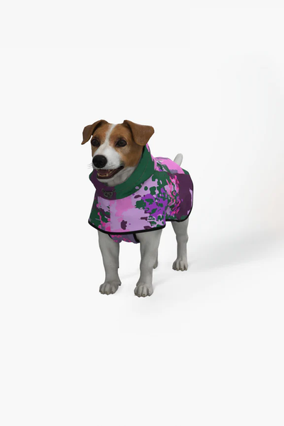 Rainkiss Dog Poncho / Click for Styles