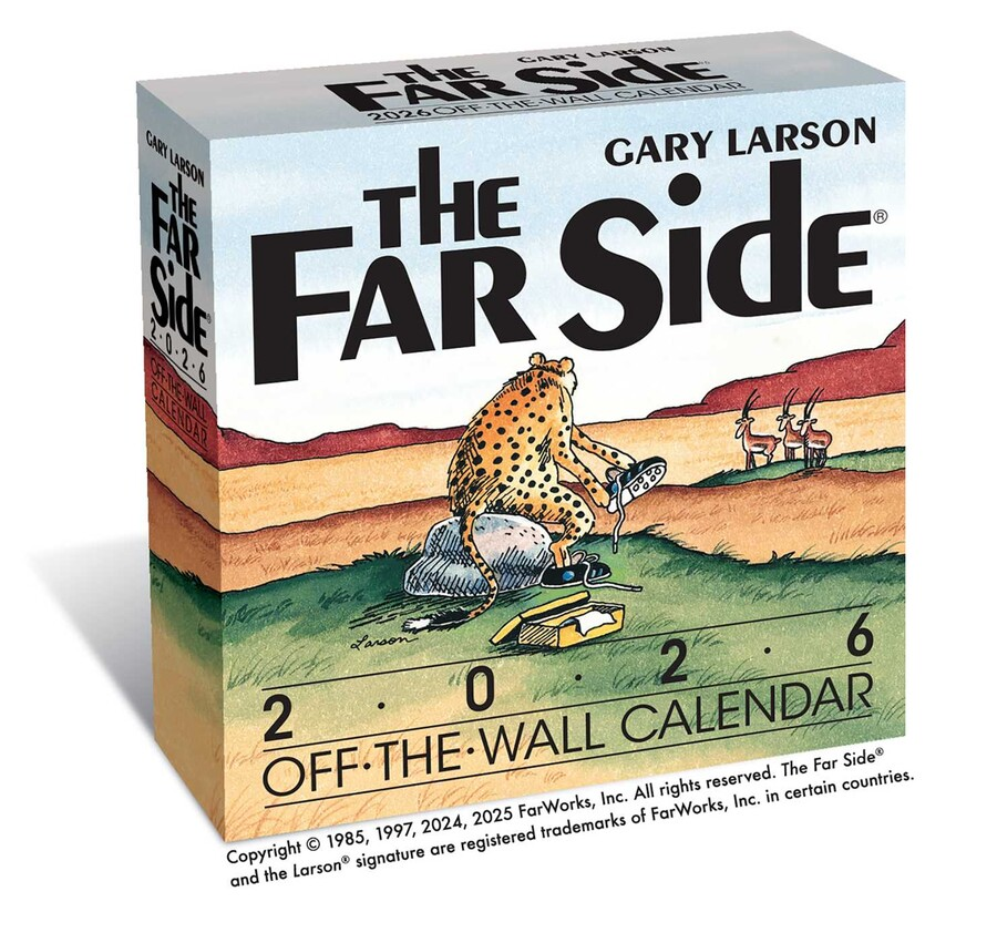 The Far Side Day to Day Calendar
