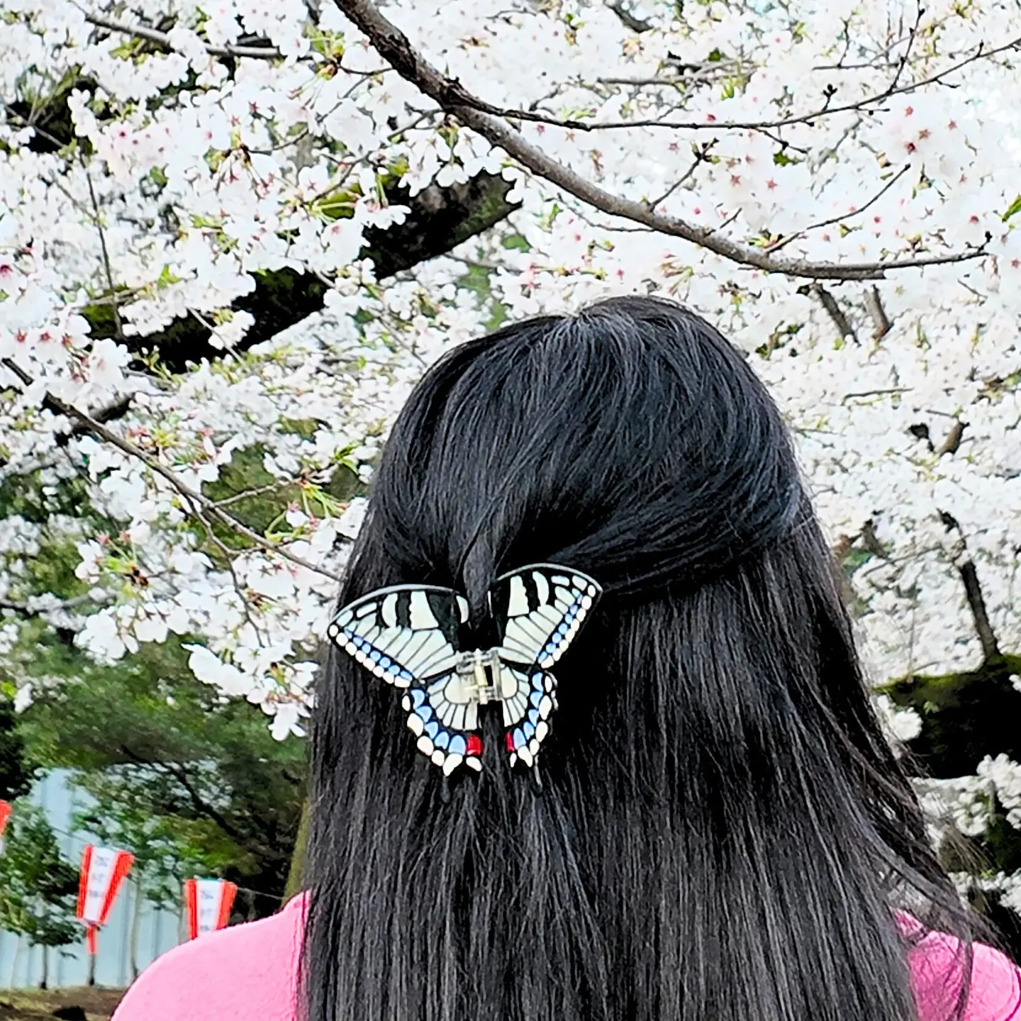 Hand Painted Swallowtail Butterfly Claw Clip