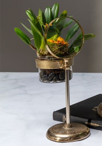 Spyglass Pot / Short