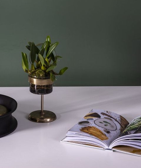 Spyglass Pot / Short