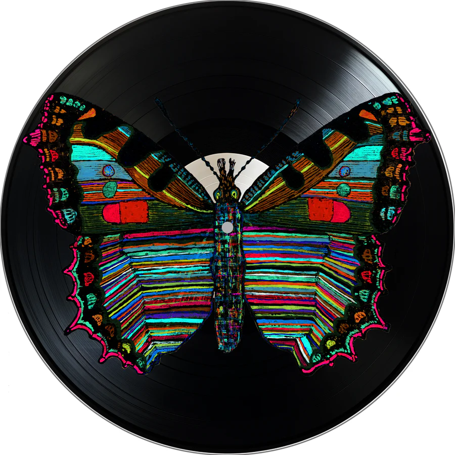 Vinyl Record Wall Art / Click for Full Selection