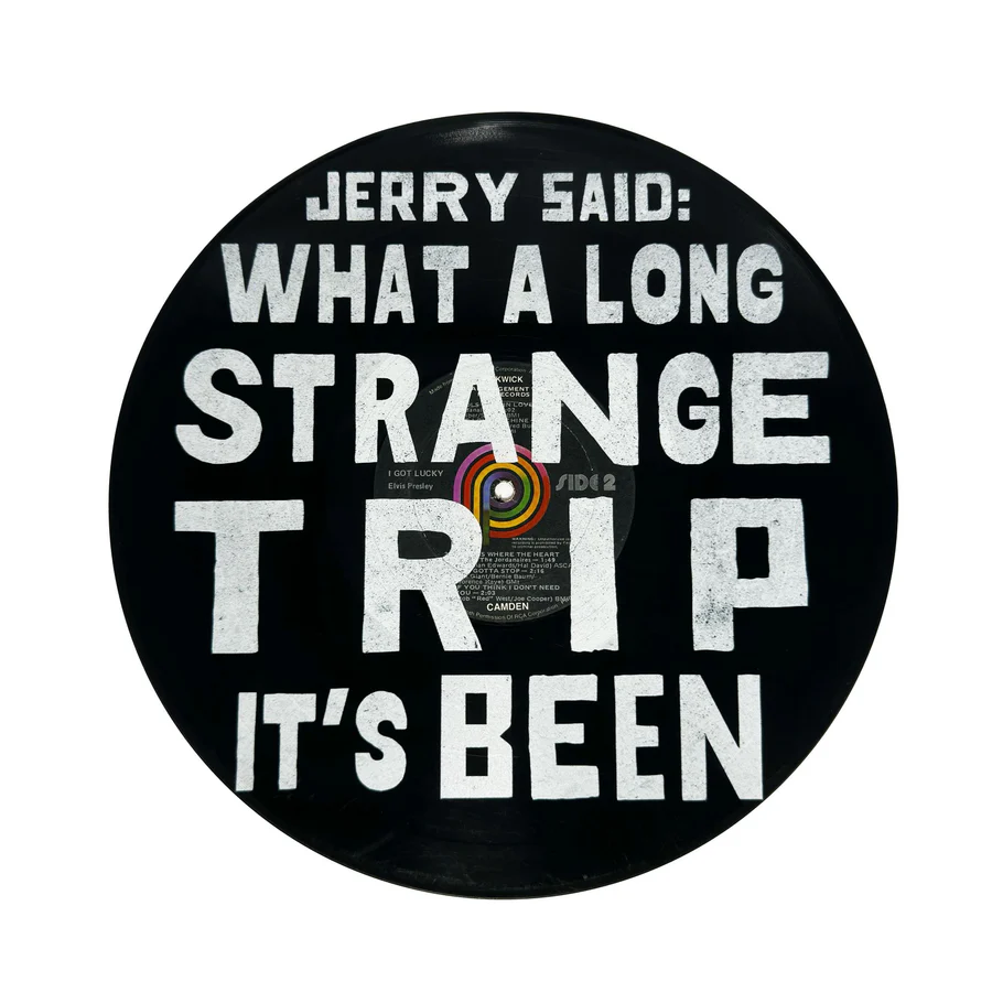 Vinyl Record Wall Art / Click for Full Selection