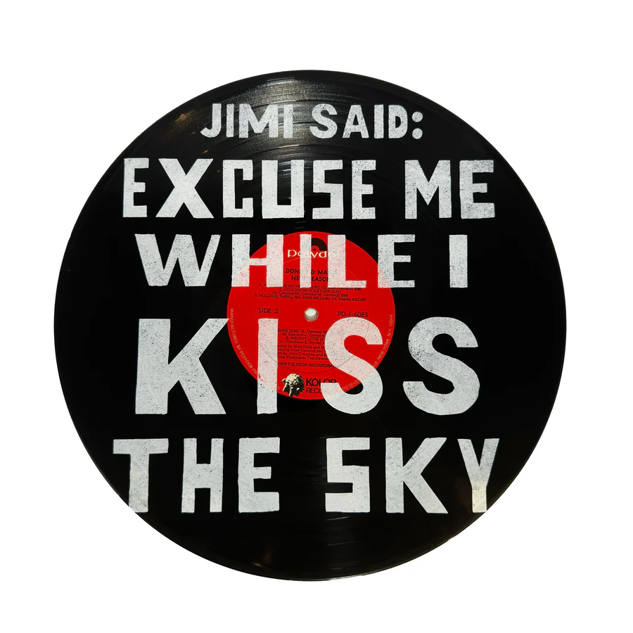 Vinyl Record Wall Art / Click for Full Selection