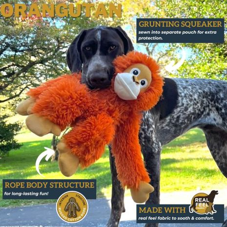 Rope Body Orangutan Dog Toy