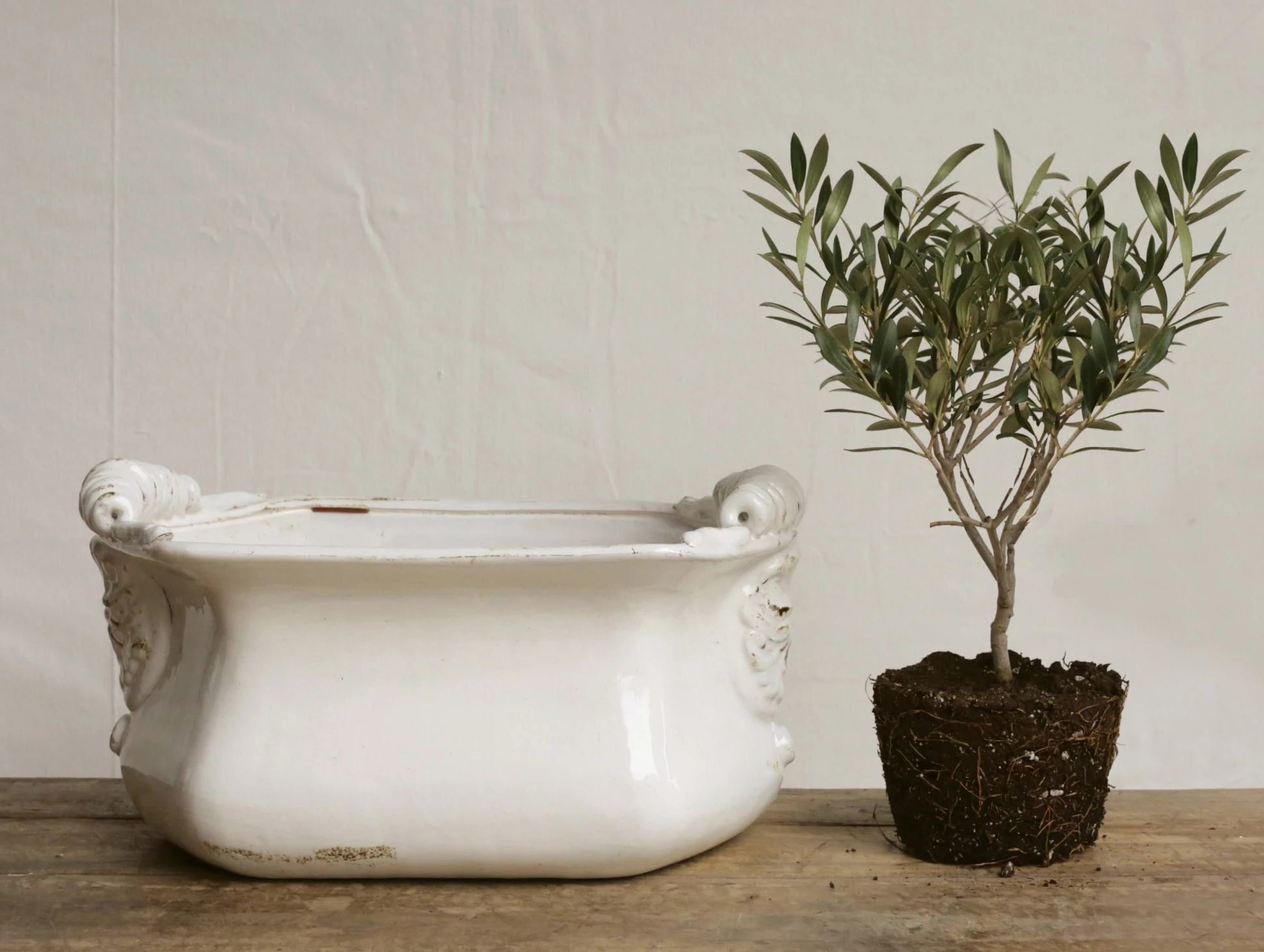 Planter Terra Cotta White