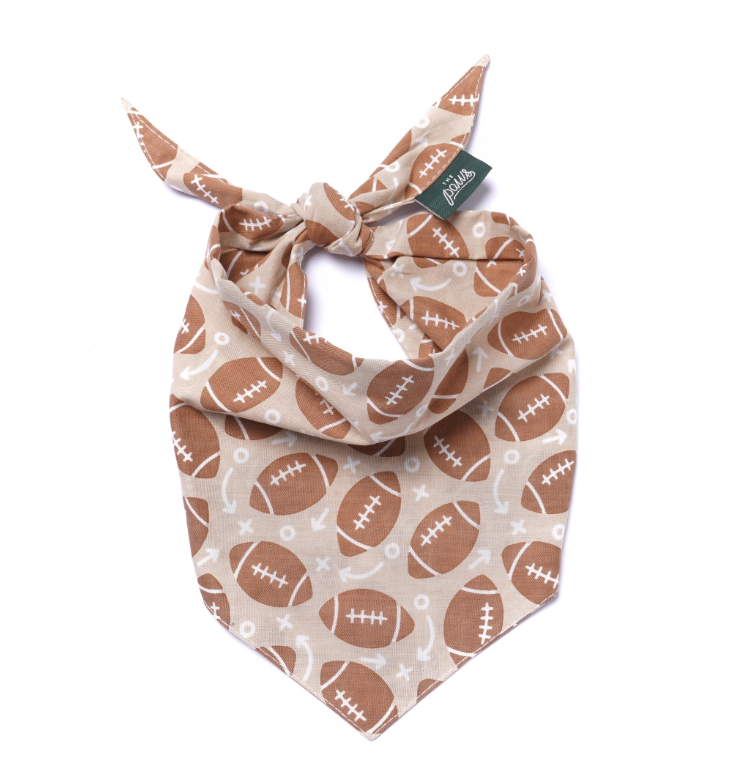 Dog Bandana: Mac's Favorite Thing