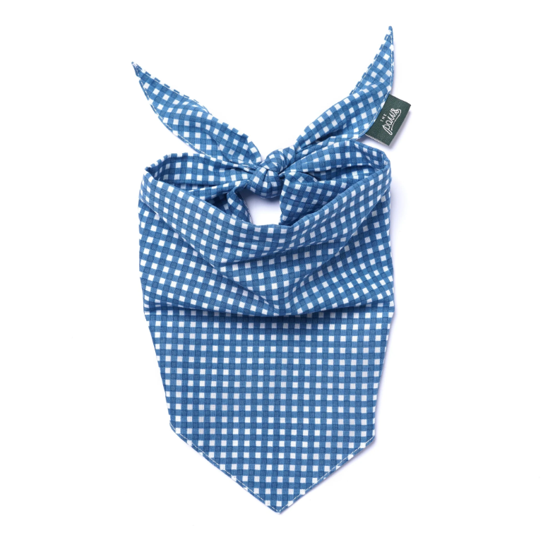 Dog Bandana: Mac's Favorite Thing