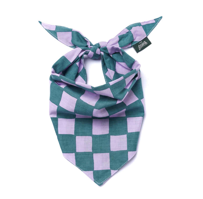 Dog Bandana: Mac's Favorite Thing