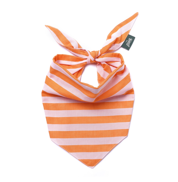 Dog Bandana: Mac's Favorite Thing