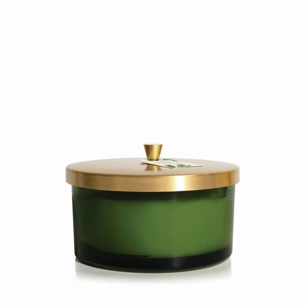 Frasier Fir Green Poured 4 Wick Candle