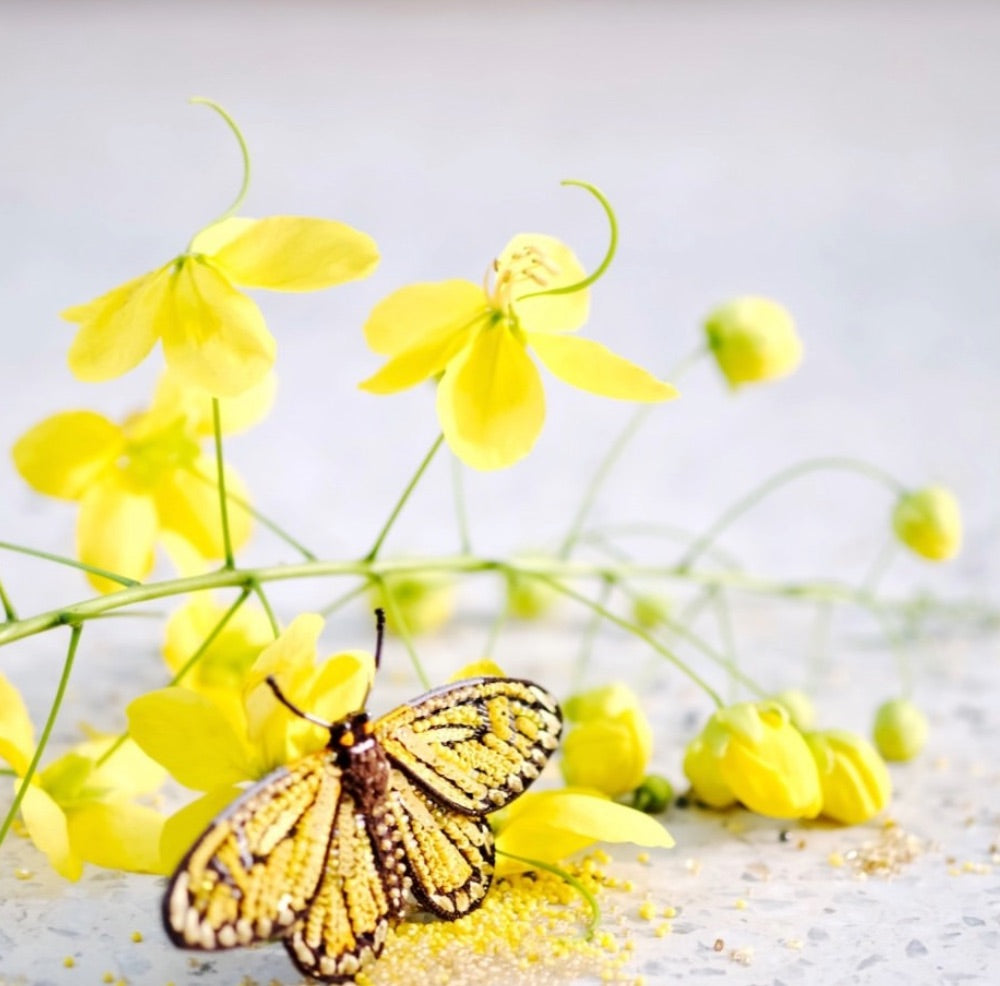 Trovelore Hand Embroidered Yellow Coster Butterfly Brooch