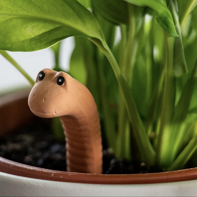 Water Worm Plant Water Sensor