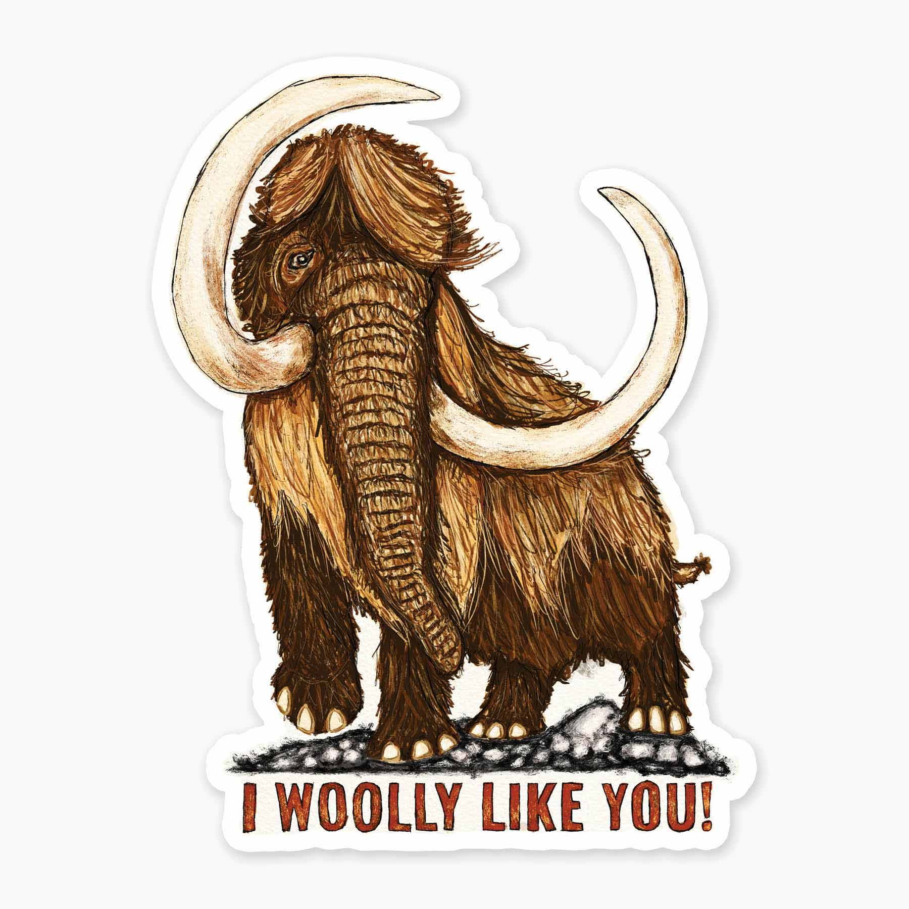 Woolly Like You Sticker