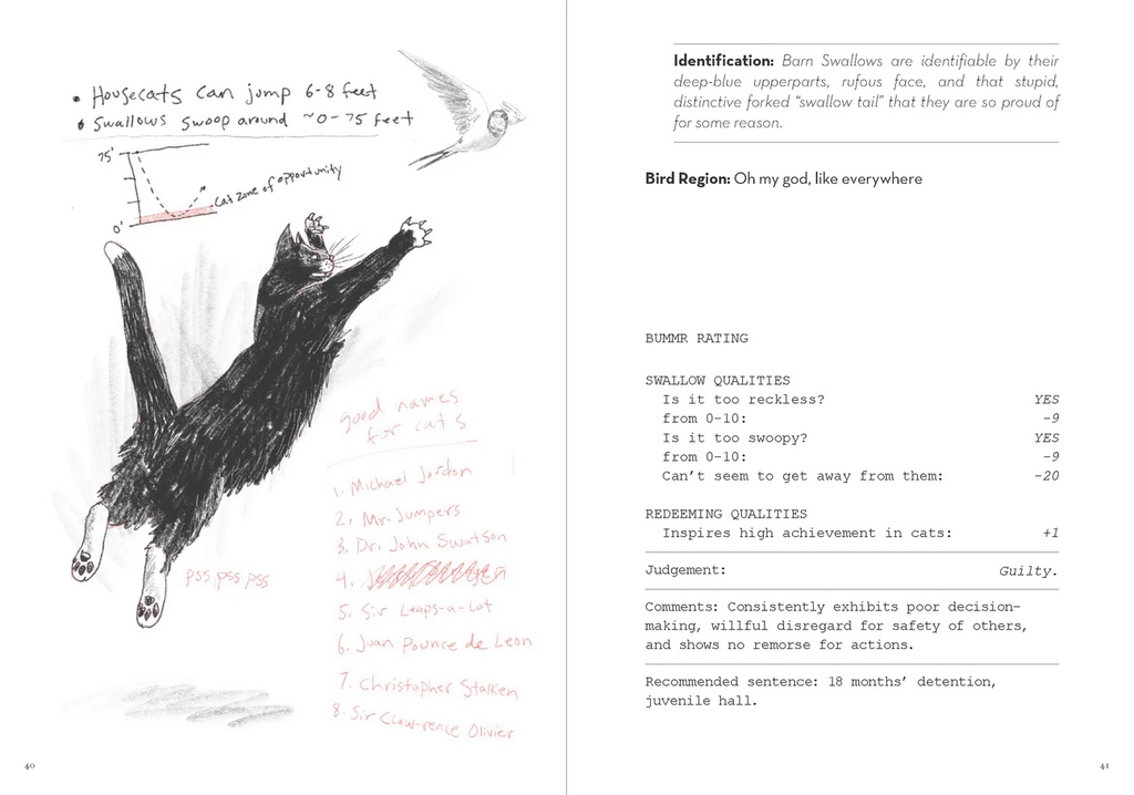 Dumb Birds Field Guide to the Worst Birds Ever