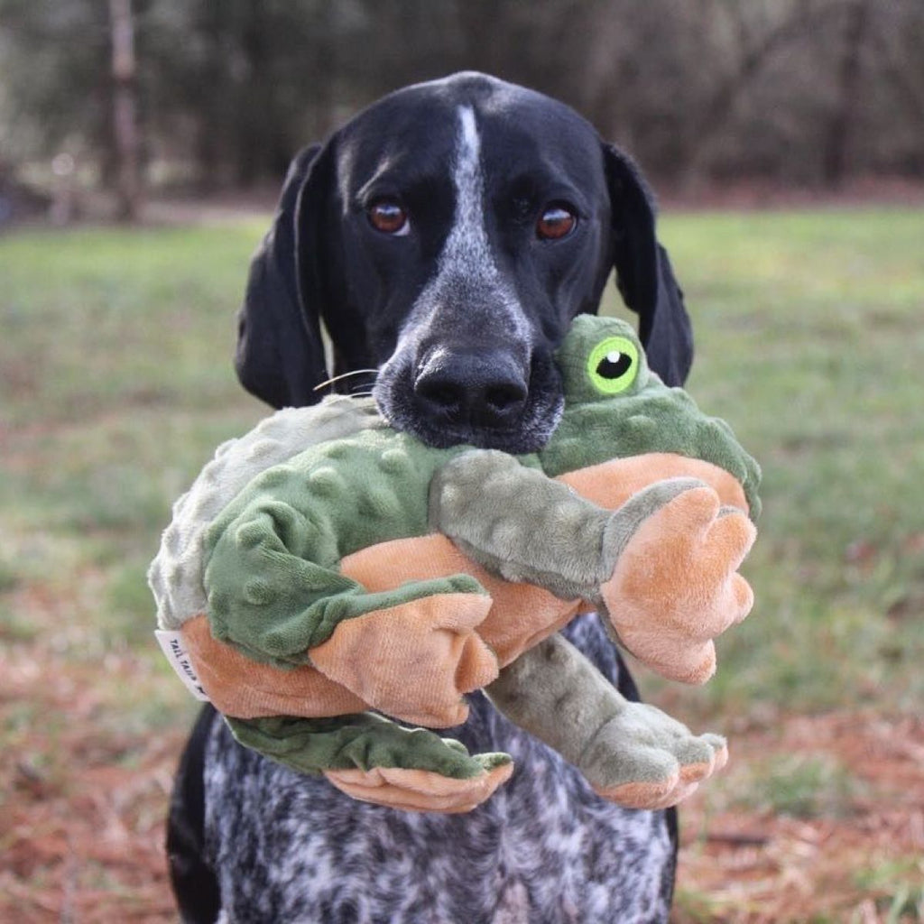 Animated Plush Frog Dog Toy