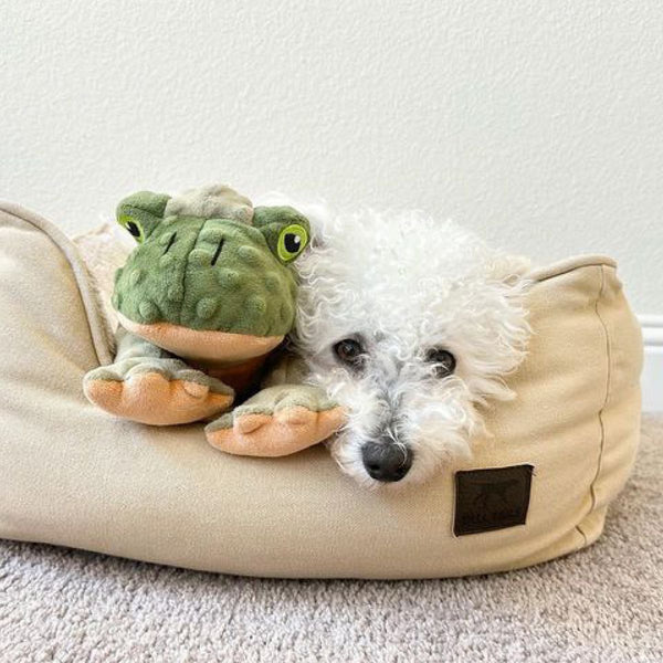 Animated Plush Frog Dog Toy