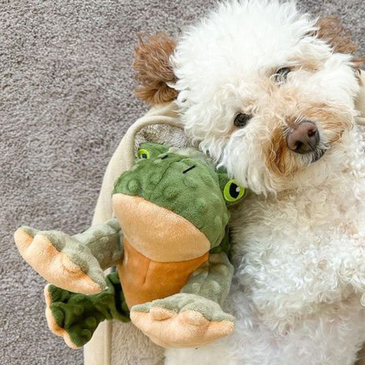 Animated Plush Frog Dog Toy