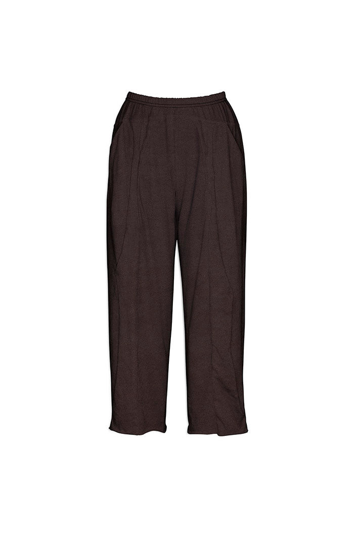 Cynthia Ashby's Penn Pant in Element