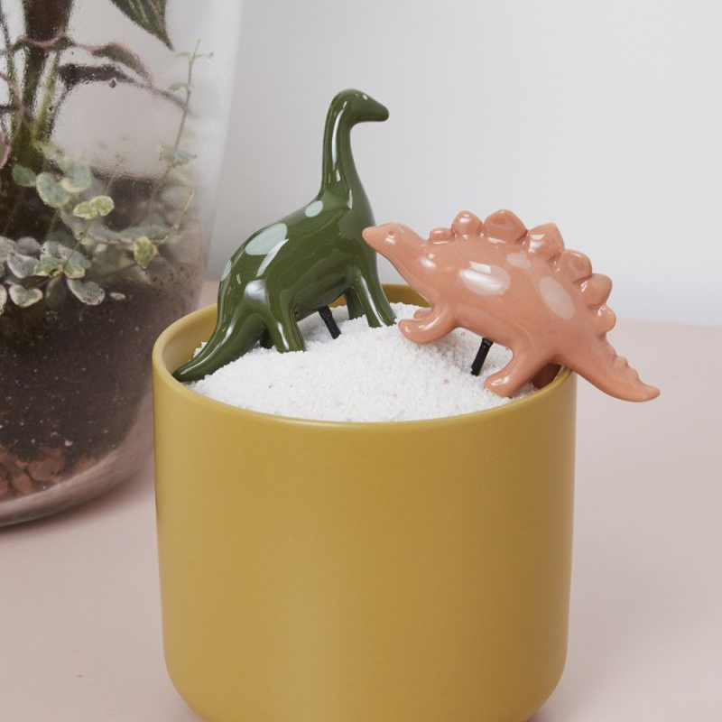 Dinosaur Friends Plant Stick / Assorted Styles