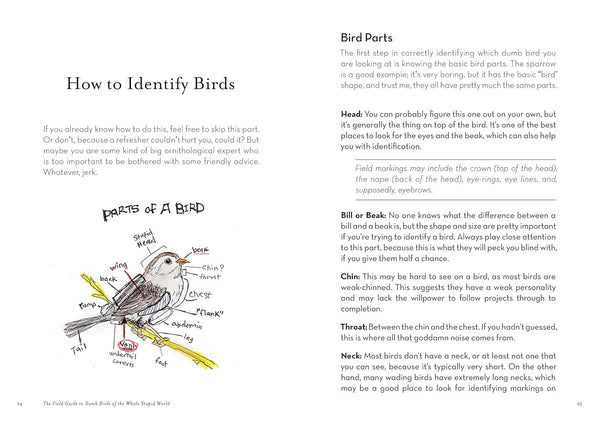 Field Guide to Dumb Birds of the Whole Stupid World