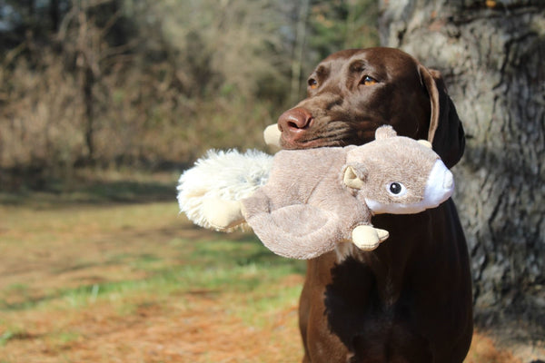 Plush Flying Squirrel Dog Toy